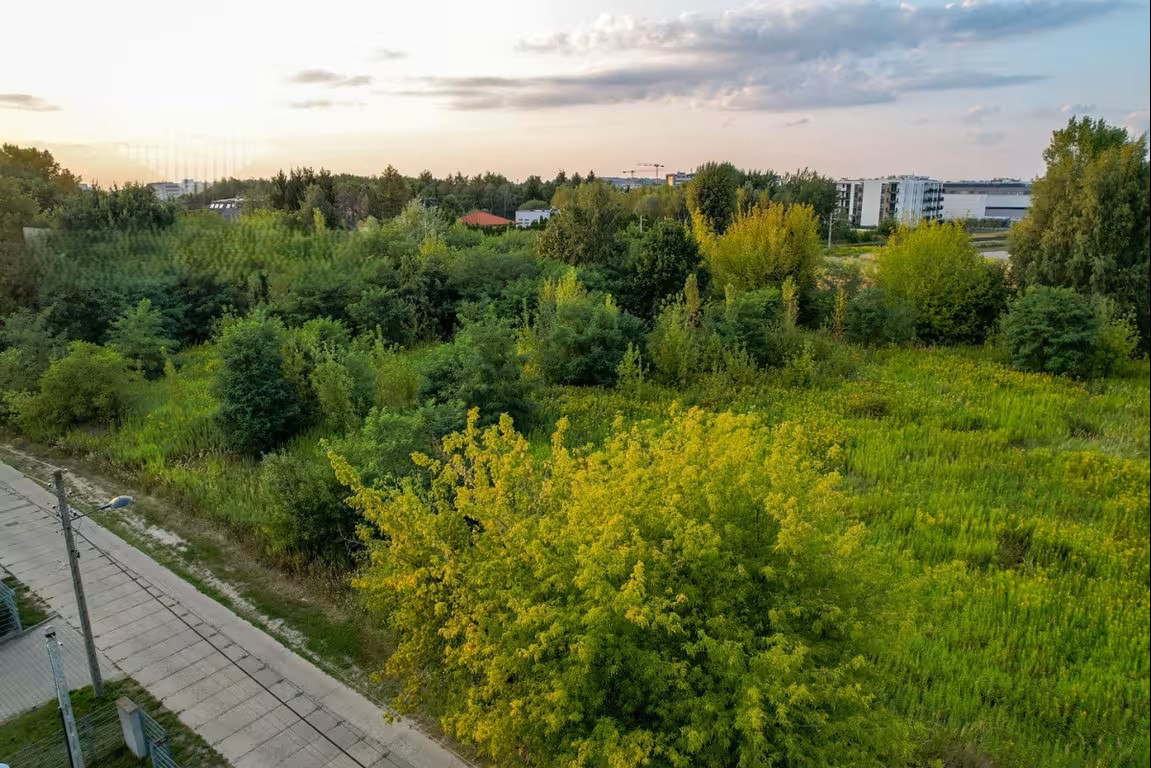 Sunset view